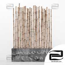 Bamboo decor text fundament