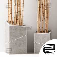 Bamboo vase slice thin branch decor n3 / Bamboo branches in vases