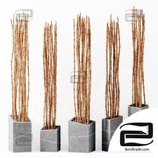 Bamboo vase slice thin branch decor n3 / Bamboo branches in vases