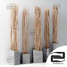 Bamboo vase slice thin branch decor n3 / Bamboo branches in vases