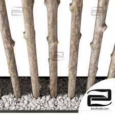 Branch thick decor fundament n1