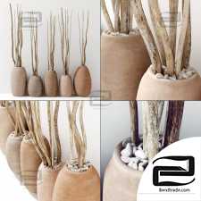 Dry branc vase decor n4