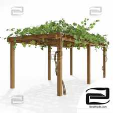 Exterior of Pergola with grapes