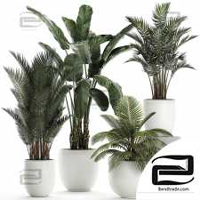 Indoor plants set 183