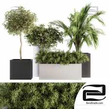 Indoor plants set 85