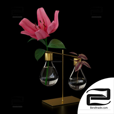 Hydroponic vase with plants