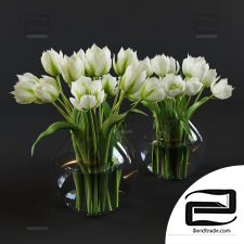 Bouquet Bouquet White and green tulips