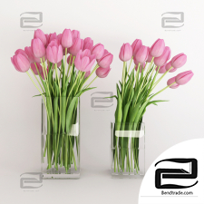Bouquet Bouquet Two vases with pink tulips