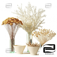 Bouquets of dried flowers in glass vases
