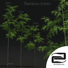 Trees Bamboo Trees