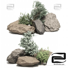 Stones with plants 02