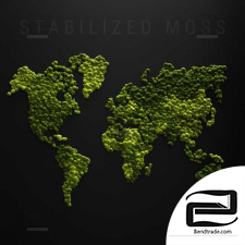 Stabilized moss Phytostenes