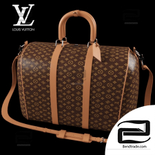 Louis-Vuitton bag