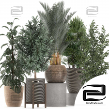 Indoor plants set 962