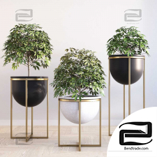 Indoor plant set 40