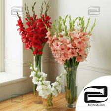 Gladiolus Bouquets 22