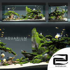 Aquarium Aquarium 29