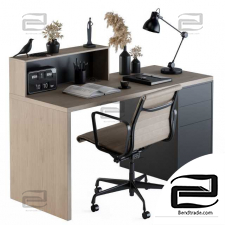 Office furniture Office furniture with Dried Plants