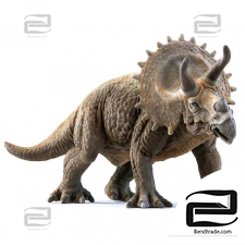 Living Creatures Triceratops