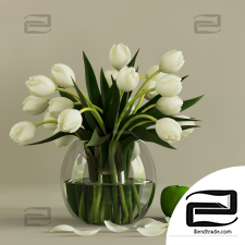 Bouquet Bouquet White tulips
