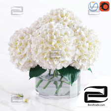 Bouquets of White Hydrangea