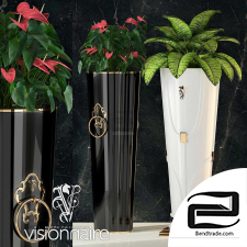 Indoor plants Visionnaire