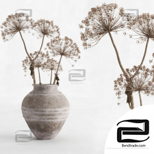 Bouquet Bouquet Hogweed in a clay vase