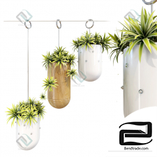 Set of decorative hanging planters