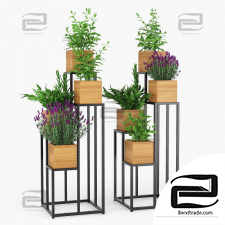 Indoor plants on a stand