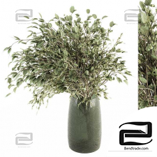 Bouquets of Green Branch in vase