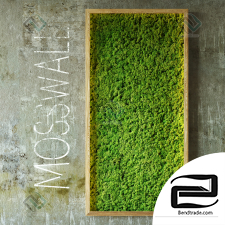 Moss wall Phytostenes Moss wall 03