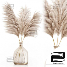 Pampas grass in glass vase 7