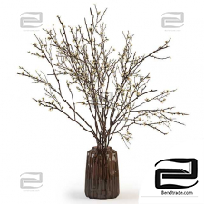 Branches in a vase 015