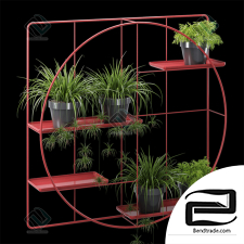Wall mounted plant hanger