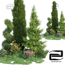 Trees Trees Landscaping set
