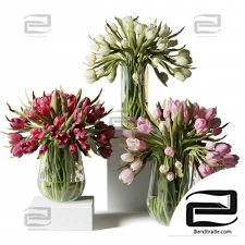 Bouquets of tulips 39