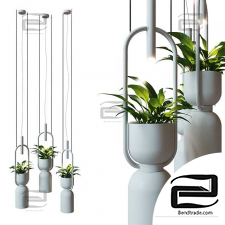 OXYGEN luxcambra pendant lamp