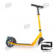 Sports Scooter