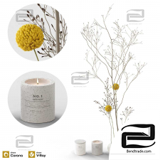 Decorative set of a branch with a candle