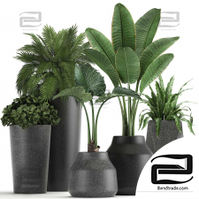 Indoor plants set 354