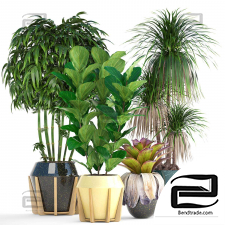 Indoor plants set 619