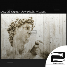 Photo wallpaper with the image of David street Art David Street Art Wall Mural