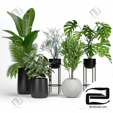 set of plants