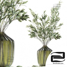 Olive stems in green glass vase