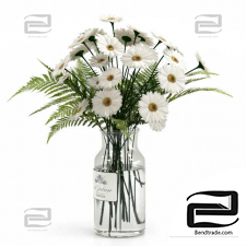 Bouquet with daisies