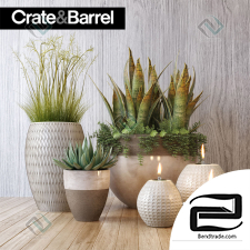Crate&Barrel plant set plant set