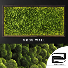 Moss wall plant walls