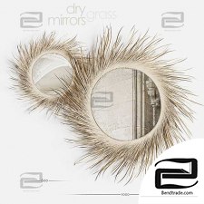Dry Grass Mirrors