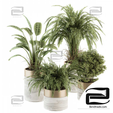 indoor Plant 04