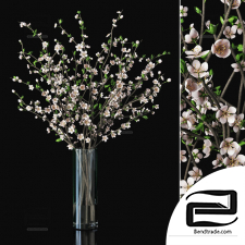 Bouquet Bouquet Blossoming plum branches in a vase
